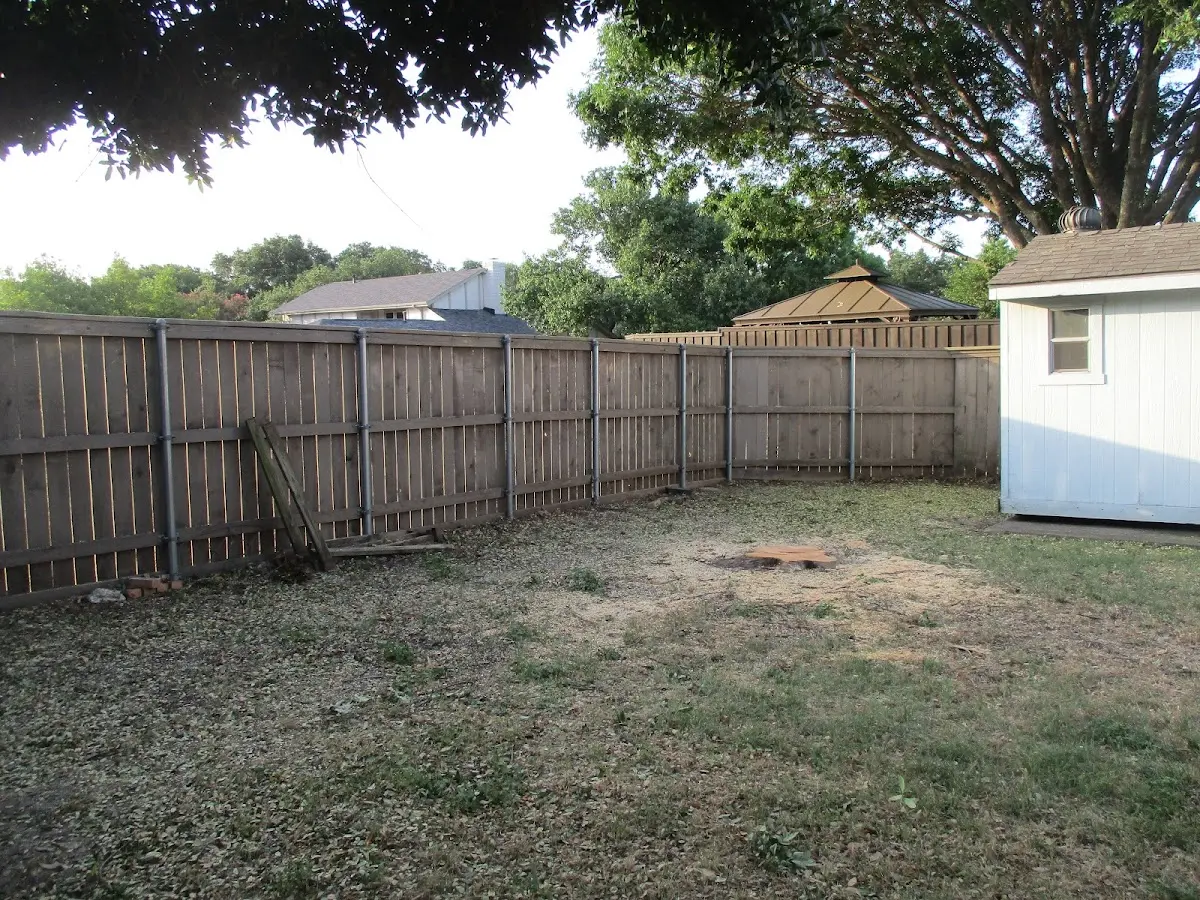 Cleared yard after professional tree removal in Crab Orchard