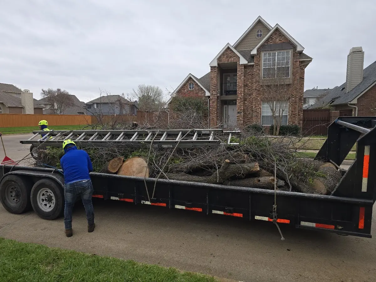 Expert Tree Fertilization with proper safety equipment in Crab Orchard